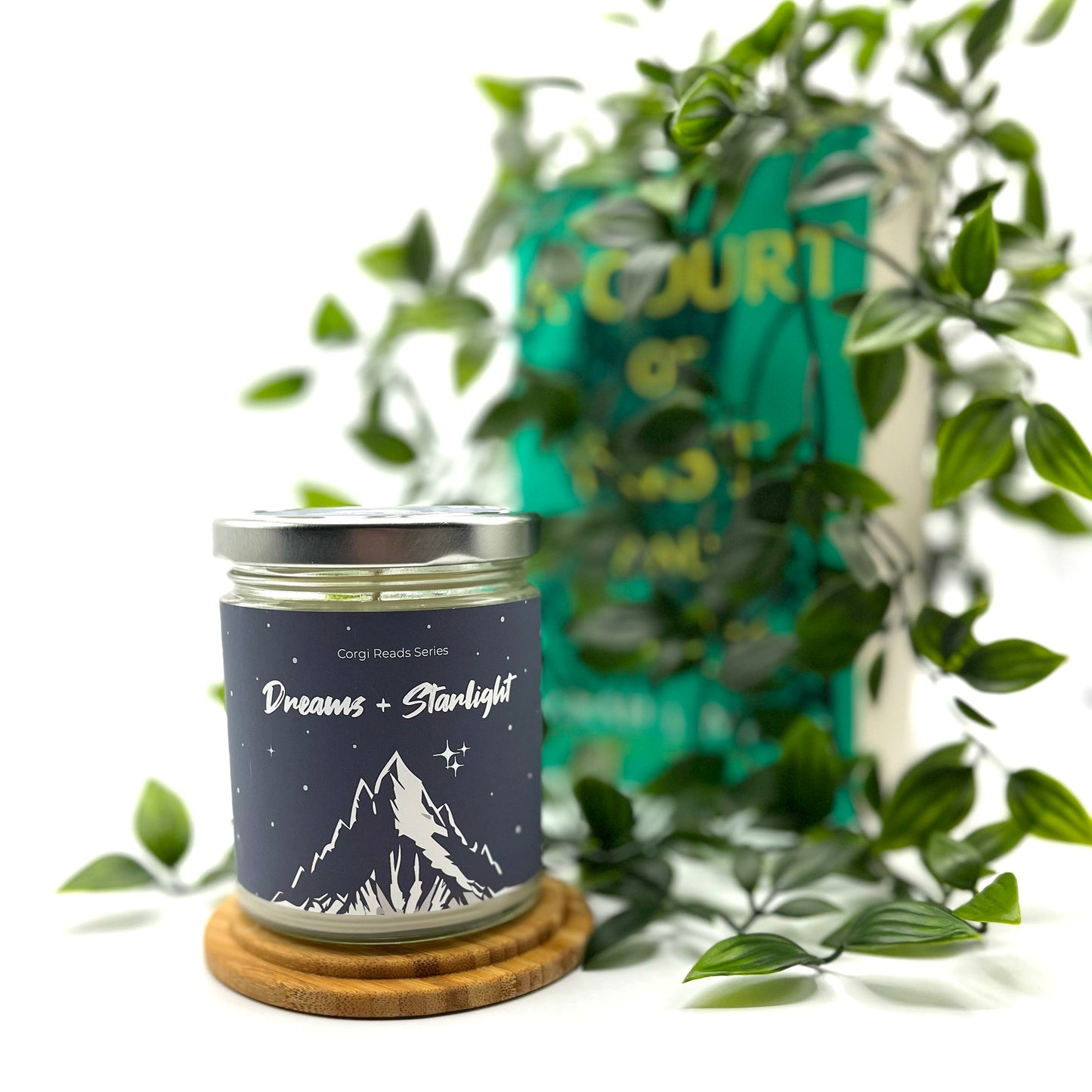 Dreams + Starlight | Corgi Reads Candle