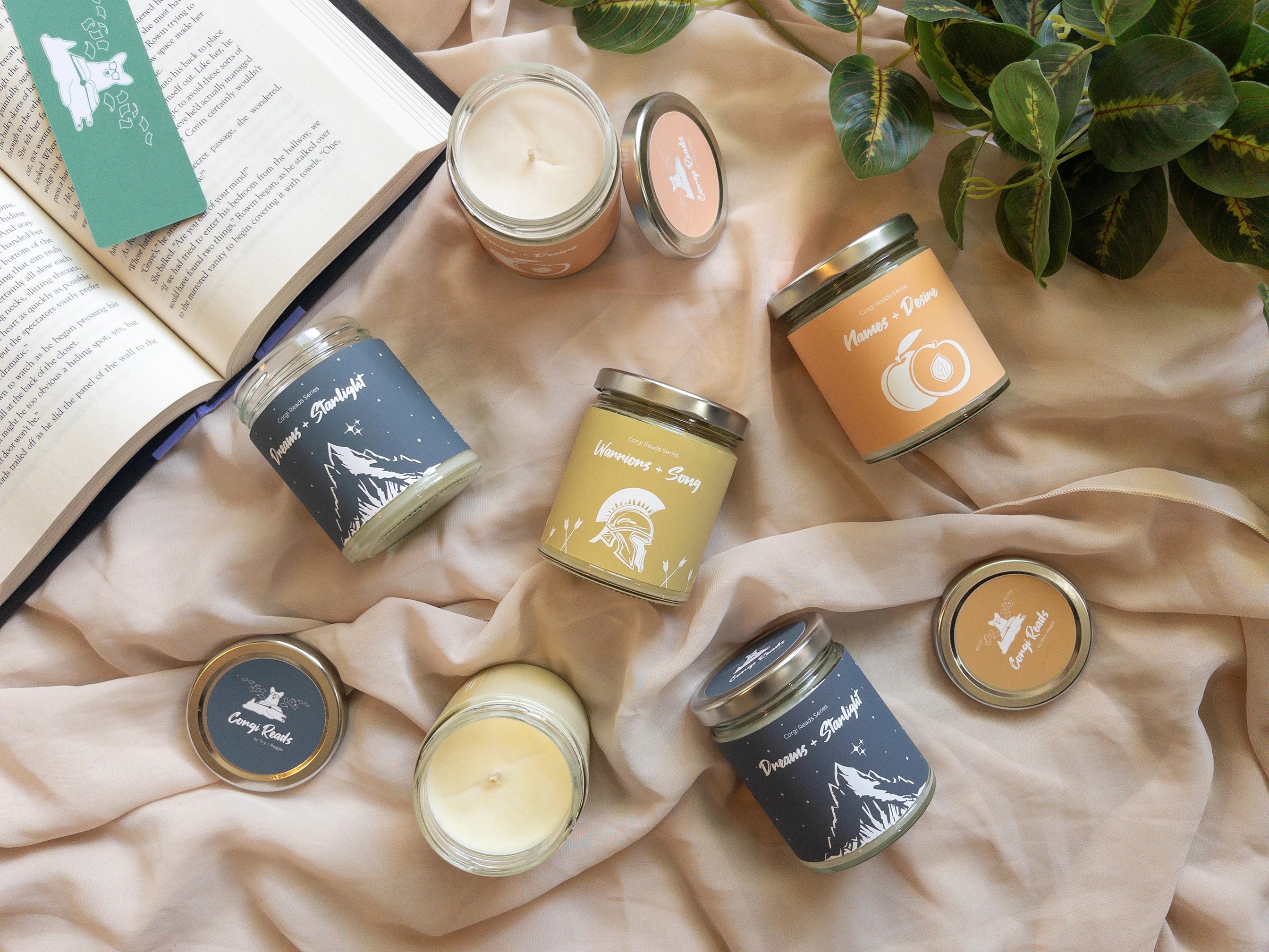 Corgi Read Collection